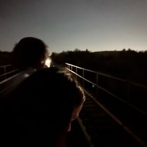 Meet your Posher, Zoe